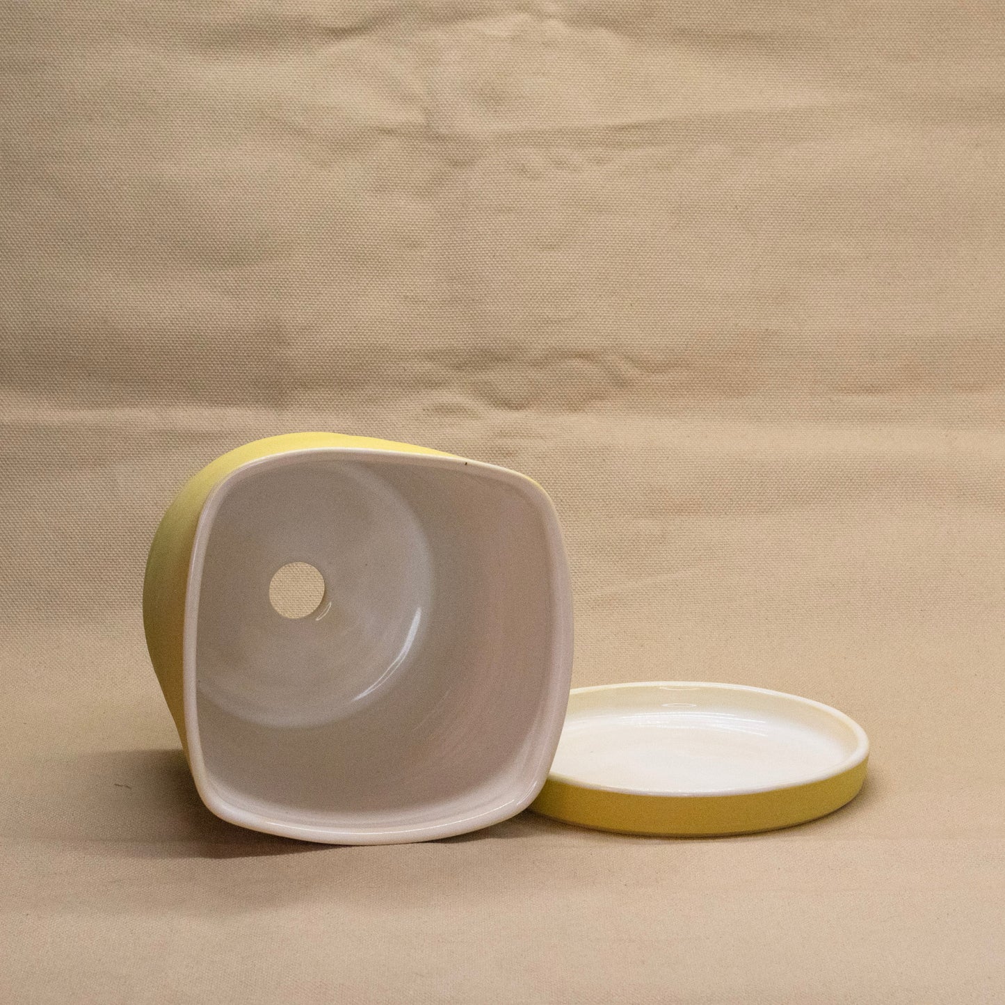 Lemon Bar Square Planter by Alex Staheli