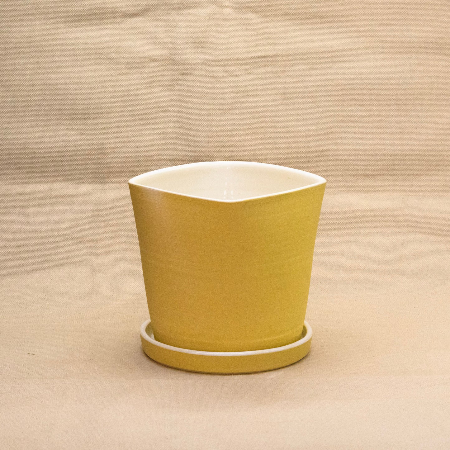 Lemon Bar Square Planter by Alex Staheli