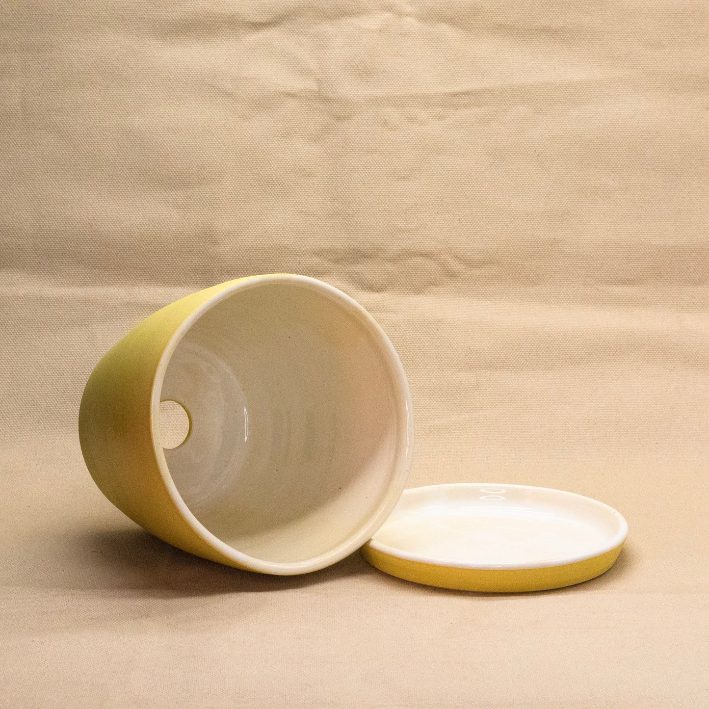 Lemon Bar Round Planter #1 by Alex Staheli