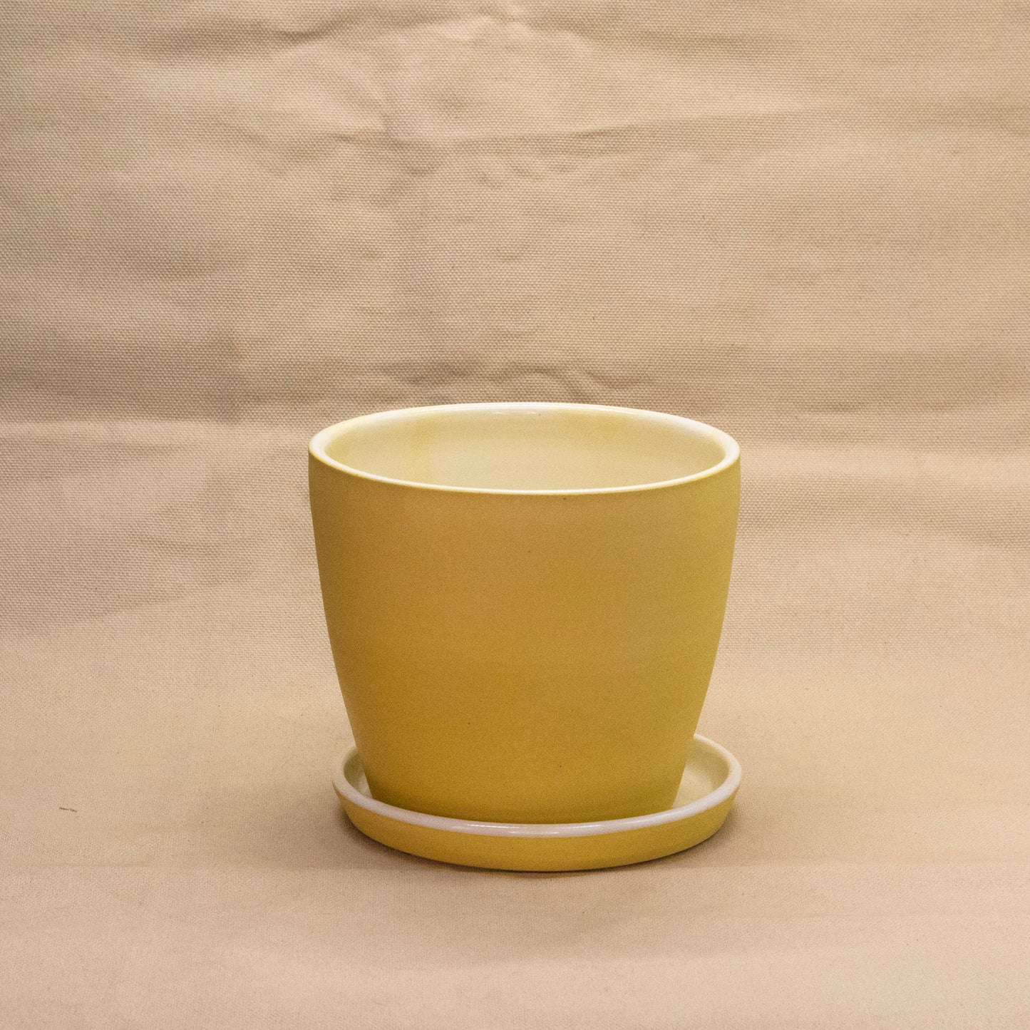 Lemon Bar Round Planter #1 by Alex Staheli
