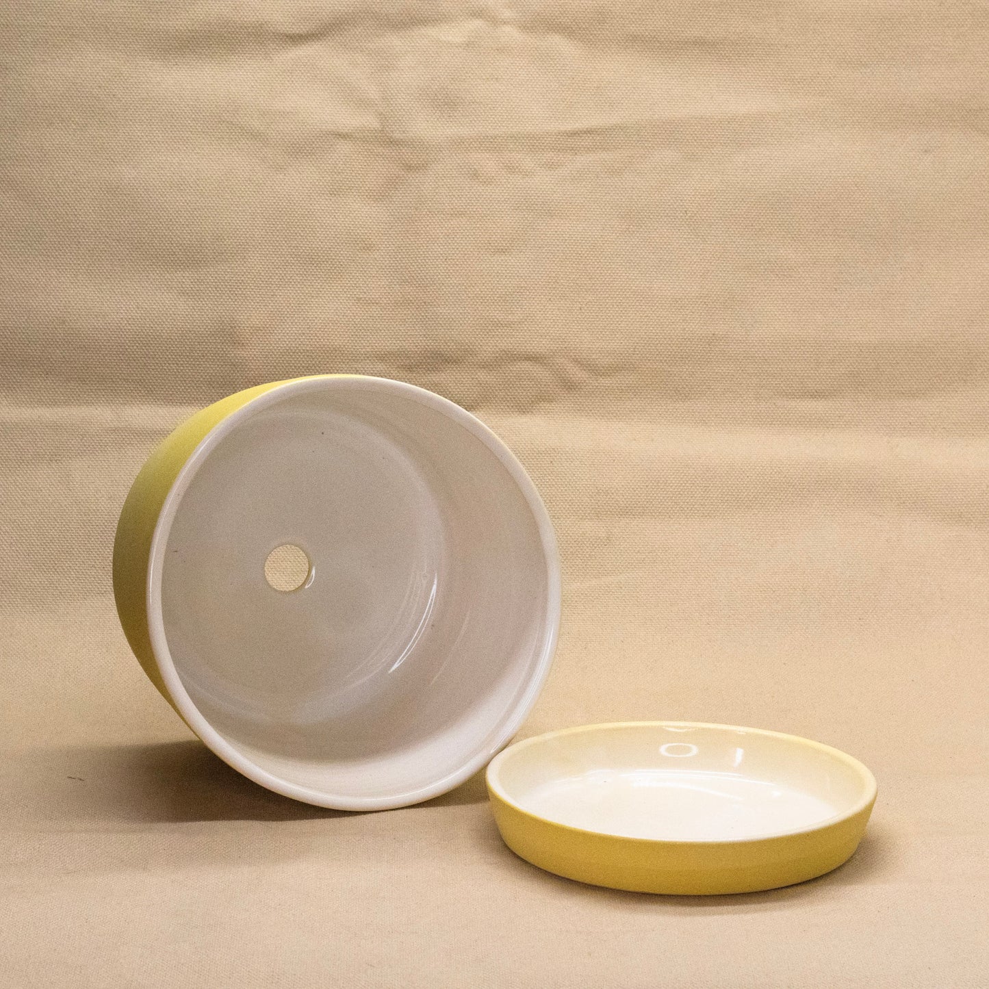 Lemon Bar Round Planter #2 by Alex Staheli