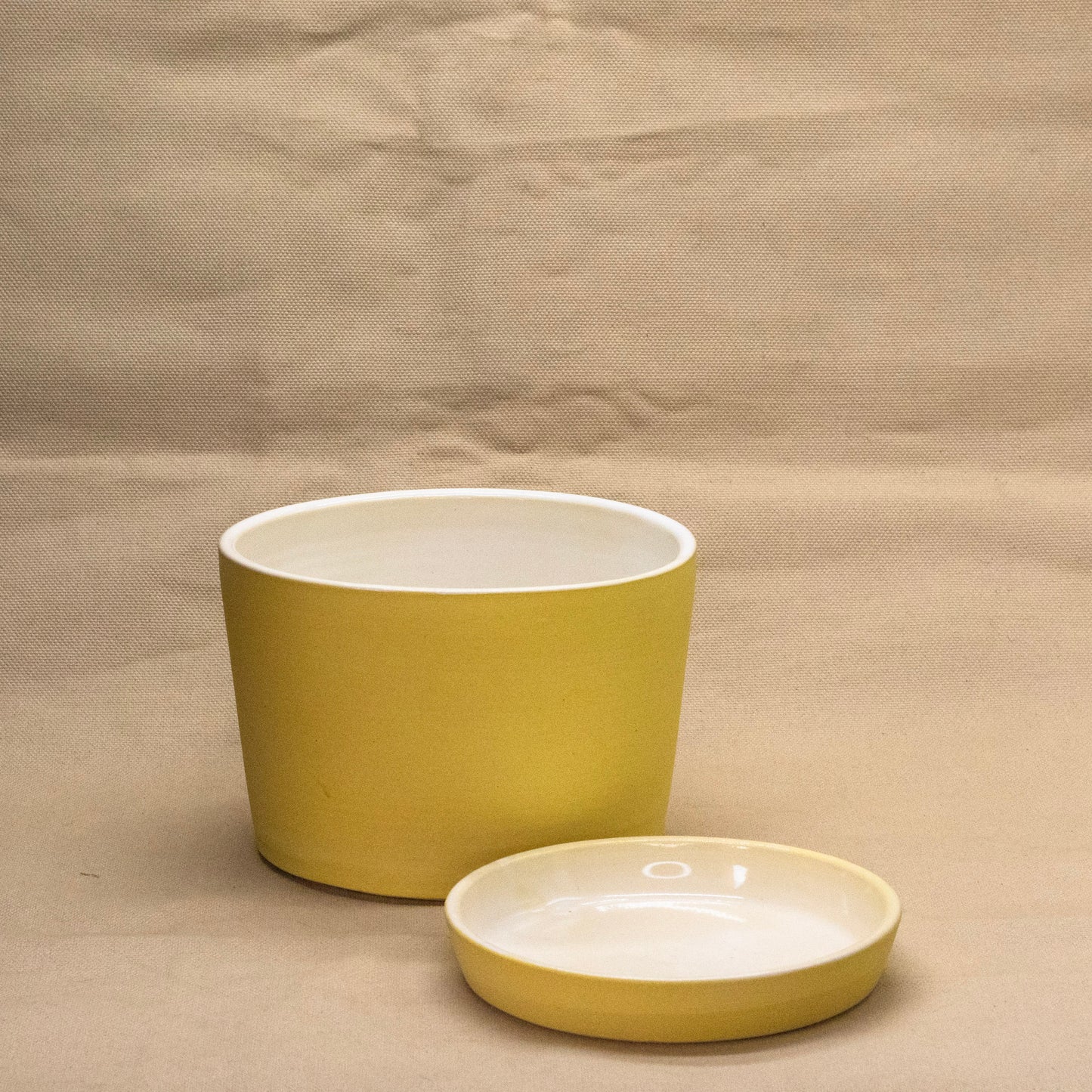 Lemon Bar Round Planter #2 by Alex Staheli