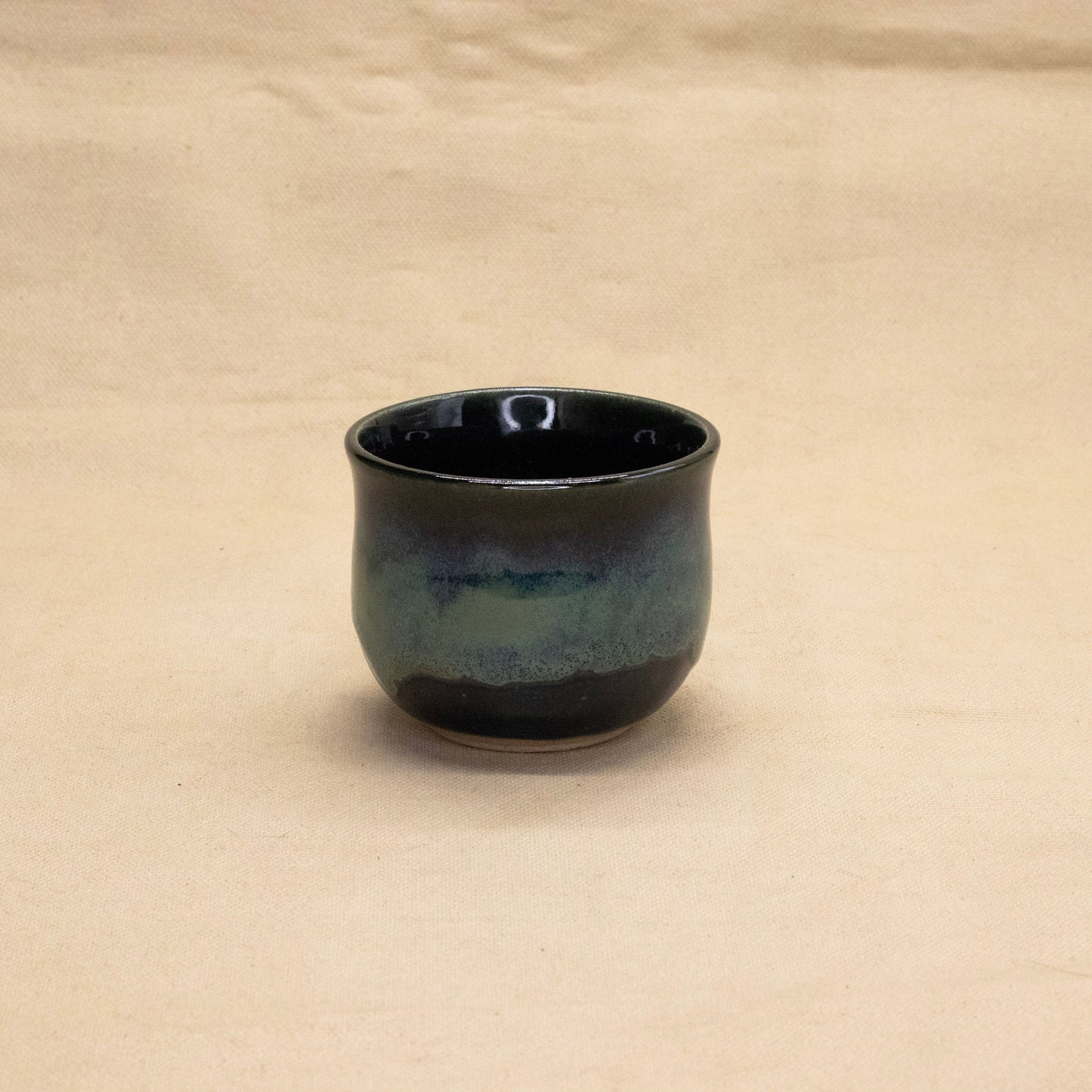 Northern Lights Mug #3 by Lance Bushore
