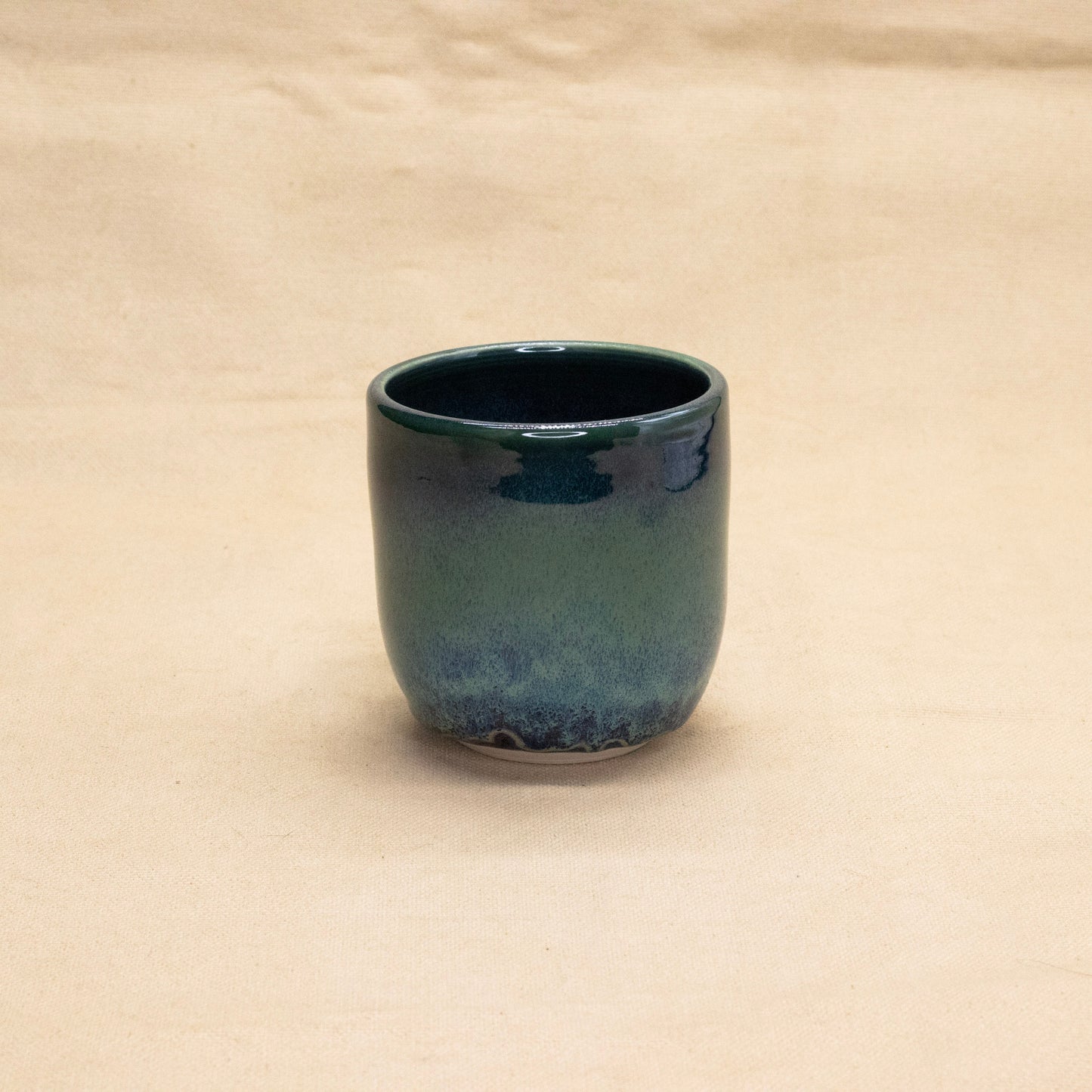 Northern Lights Mug #2 by Lance Bushore