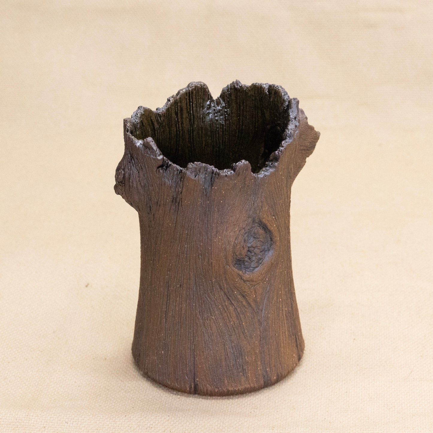 Tree Trunk Bud Vase #2 by Dustin Low