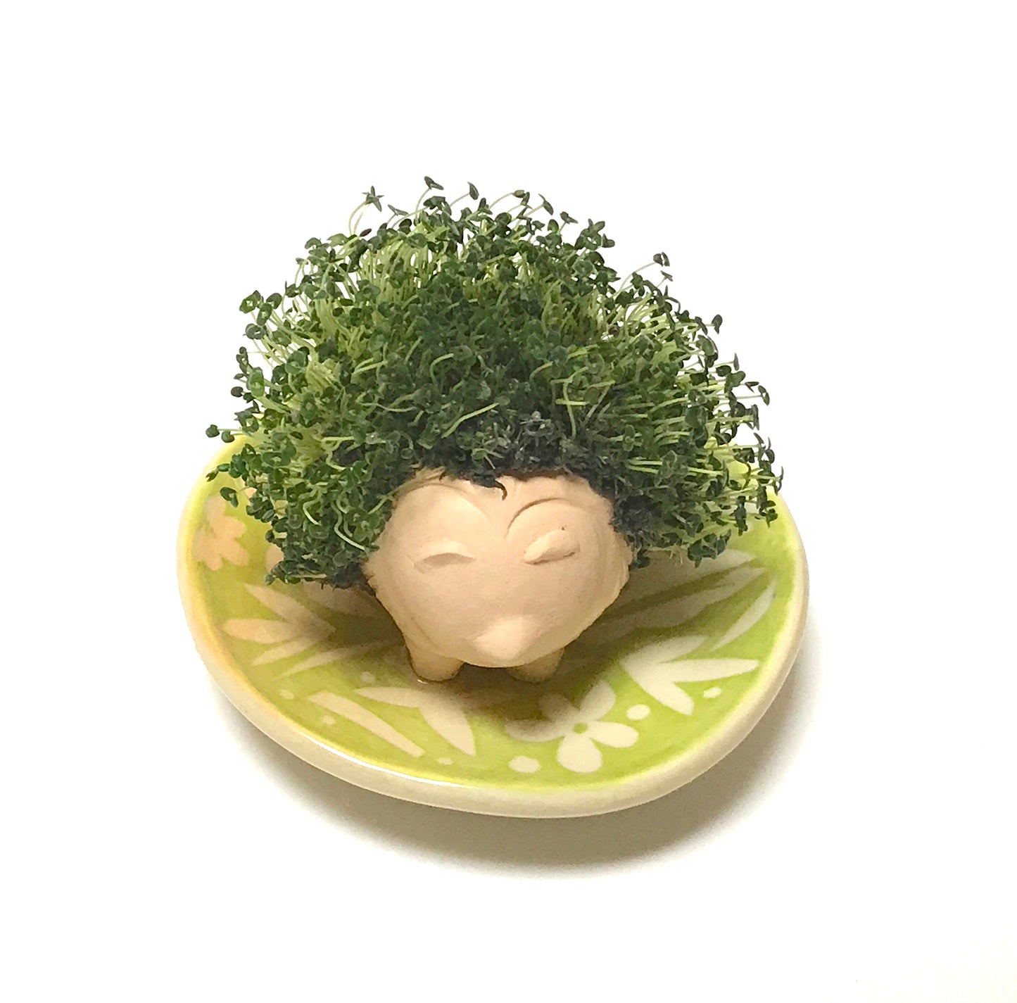Chia Pets with Alison Kan Grevstad, July 5th from 12-3pm