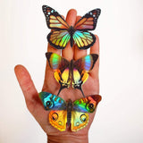 Daggerwing and Blue Buckeye Butterfly Holographic Sticker Set by Moth and Myth