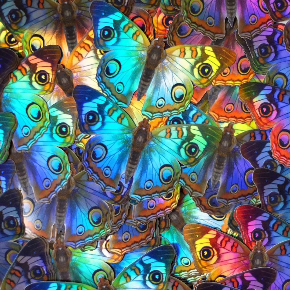 Daggerwing and Blue Buckeye Butterfly Holographic Sticker Set by Moth and Myth