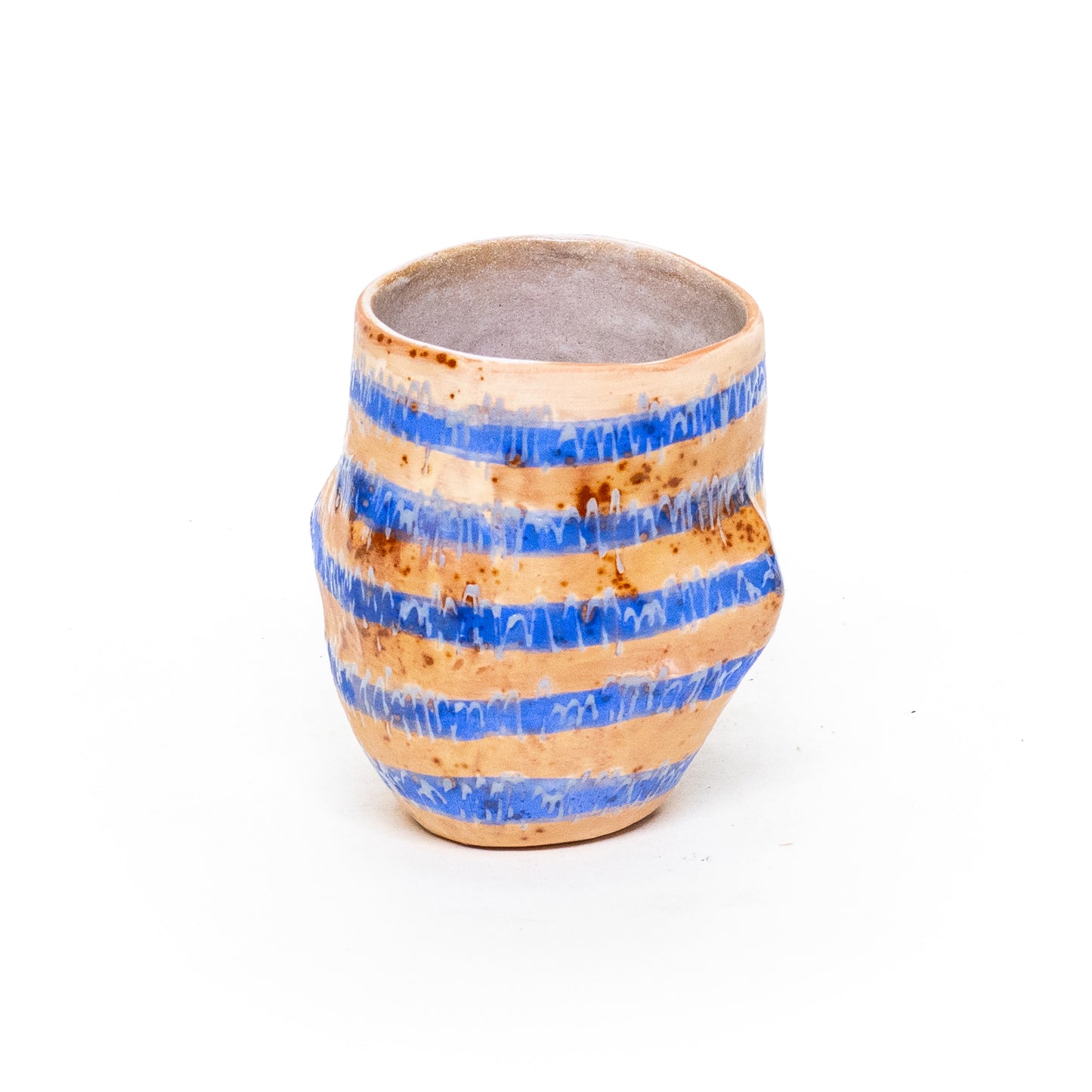 Prickly Pear Mug by Tony Santoyo