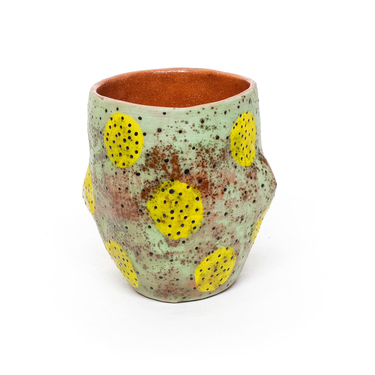 Prickly Pear Mug by Tony Santoyo