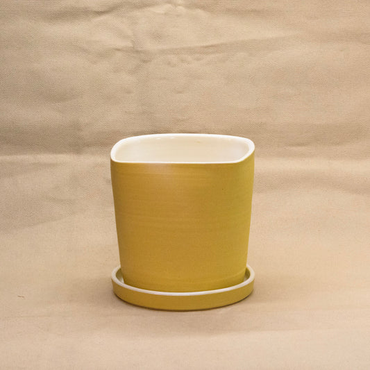 Lemon Bar Square Planter by Alex Staheli