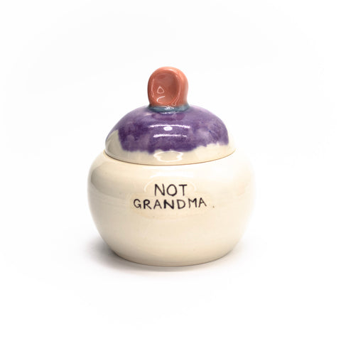 Not Grandma by Liz Benko