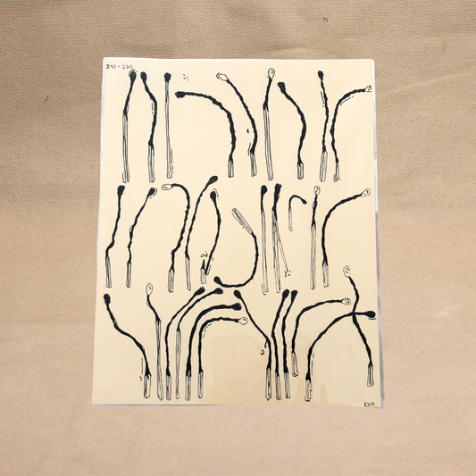 Match Print (241-270) by Kyle Jordan