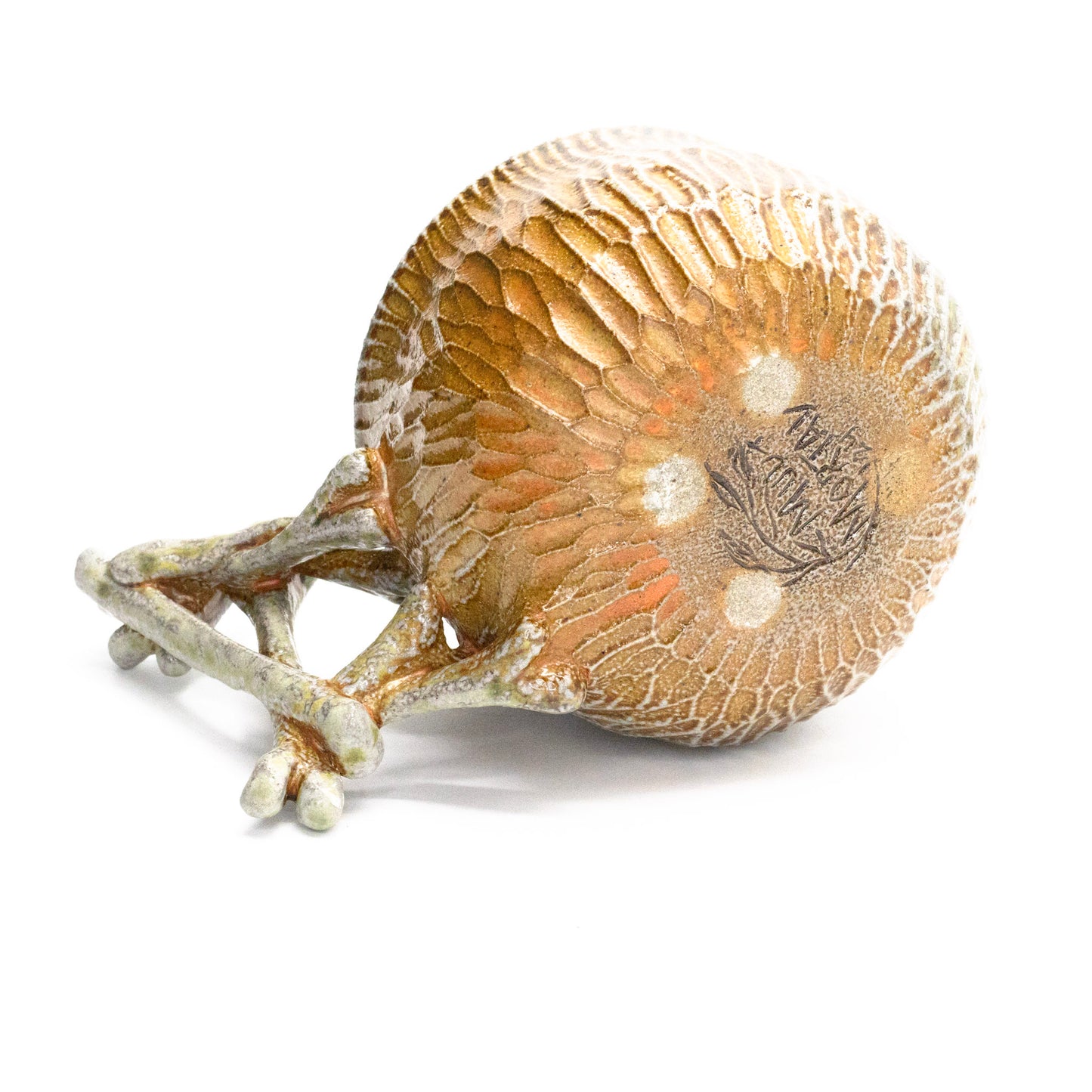 Memento Mori 1 by Charlotte Morrill