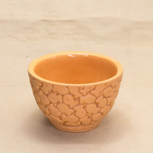 Original Goldfish Bowl by Amber Frances