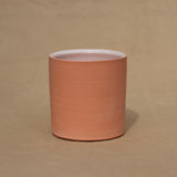 Orange Creamsicle Mug by Alex Staheli