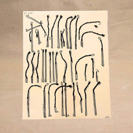 Match Print (211-240) by Kyle Jordan