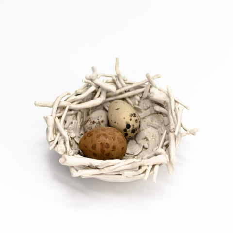 Bird Nest and Eggs by Brolly Line