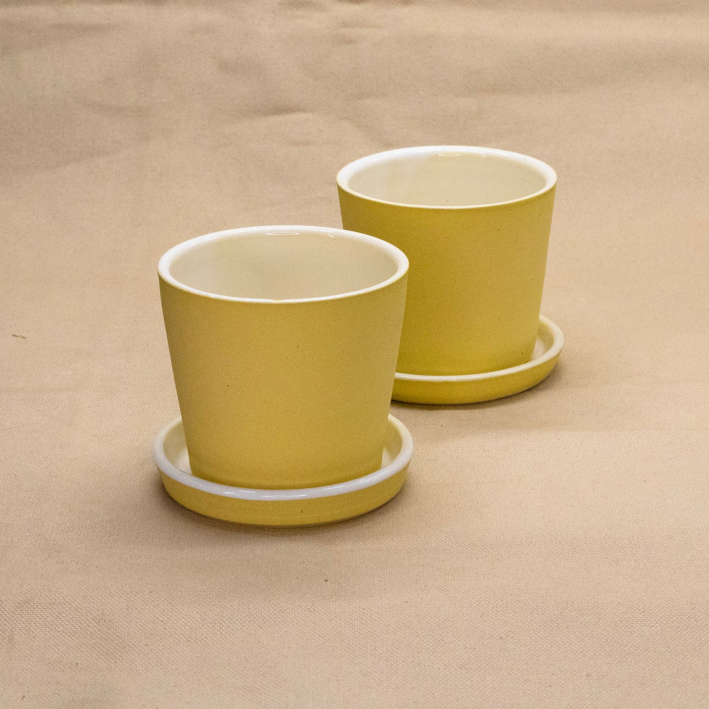 Lemon Bar Small Planter by Alex Staheli