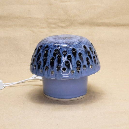 Table Lamp by Lance Bushore