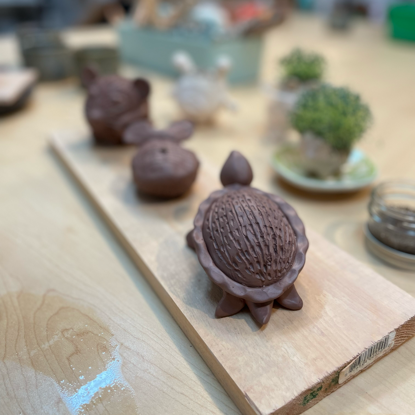 Chia Pets with Alison Kan Grevstad, July 5th from 12-3pm