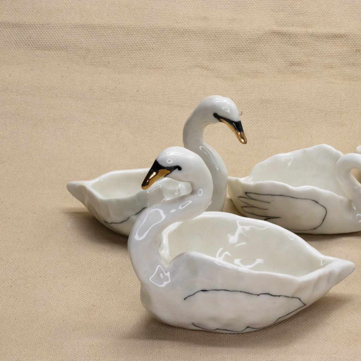 Swans by Ryana Lawson