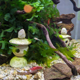 Fishtank Furniture with Liz Leong, Feb 16th from 9am - 12pm