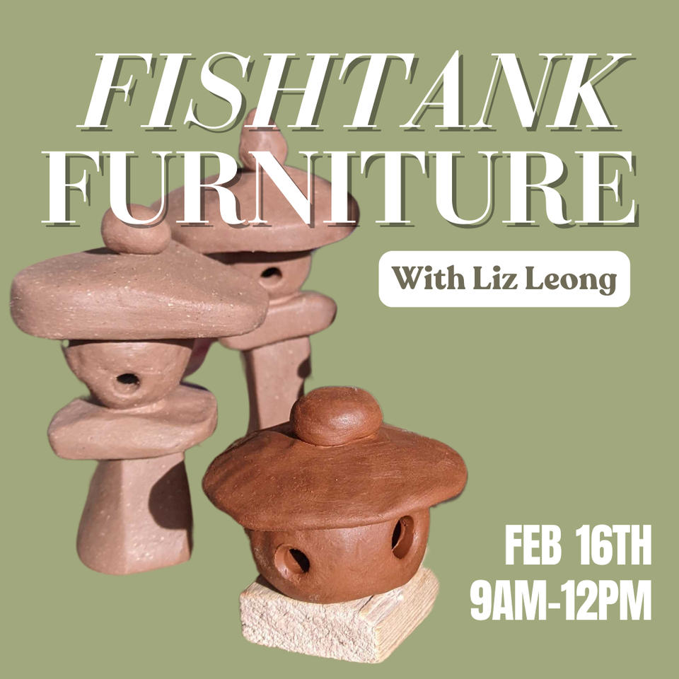 Fishtank Furniture with Liz Leong, Feb 16th from 9am - 12pm