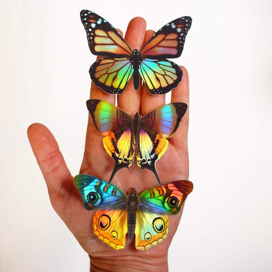Daggerwing and Blue Buckeye Butterfly Holographic Sticker Set by Moth and Myth
